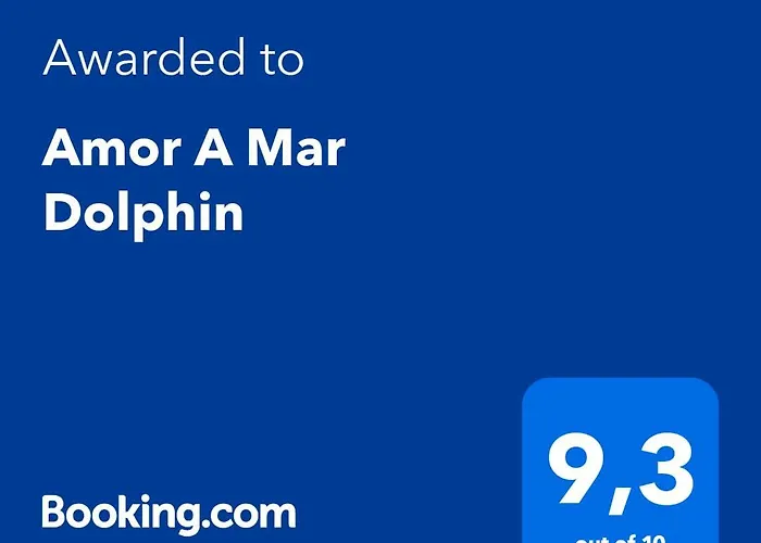 A Mar Dolphin * プエルト・デル・カルメン